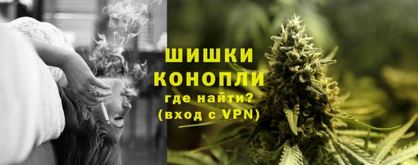 мдпв Богородск