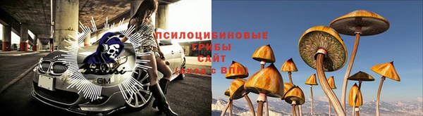 тгк Богданович