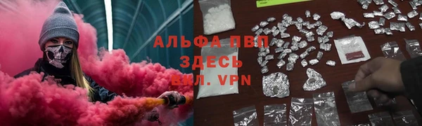 дживик Бородино