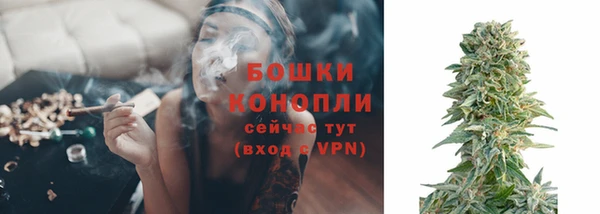 тгк Богданович