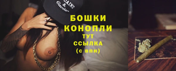 ALPHA-PVP Богородицк
