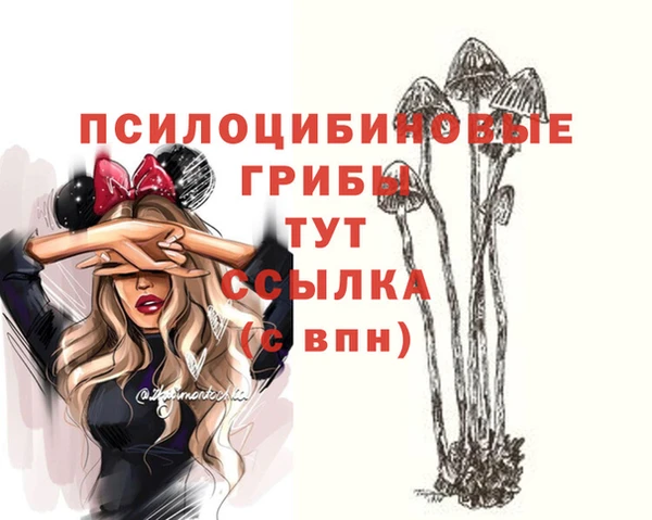 тгк Богданович