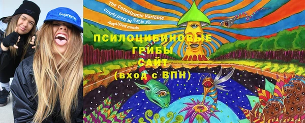 мдпв Богородск