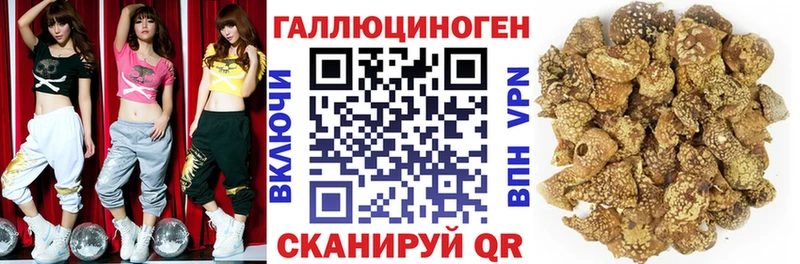 Галлюциногенные грибы GOLDEN TEACHER цены наркотик гидра tor Петропавловск-Камчатский